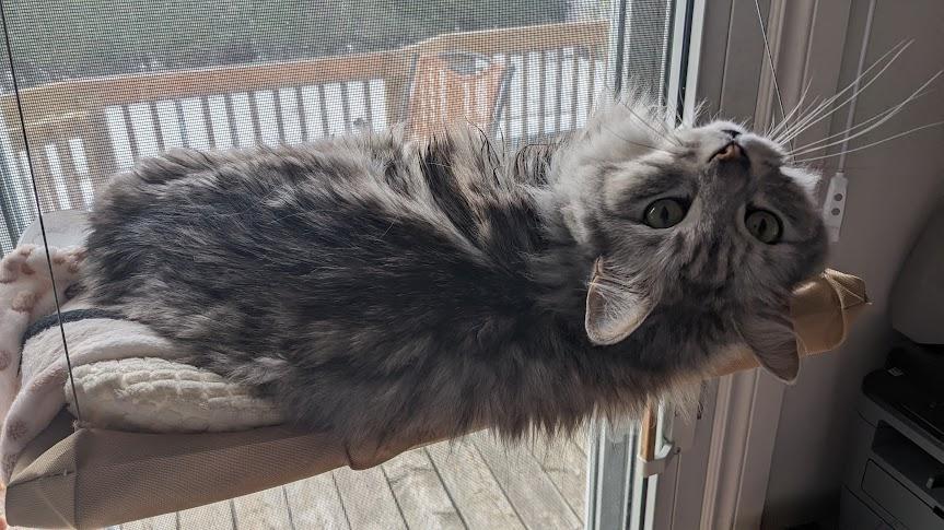 The perfect excuse to include a picture of my hungry son.